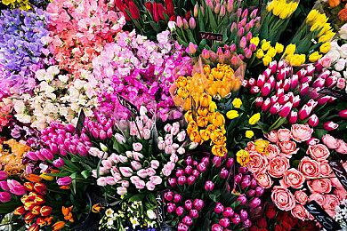 工厂自动化游戏《巧克力工厂》steam页面上线 6月发售